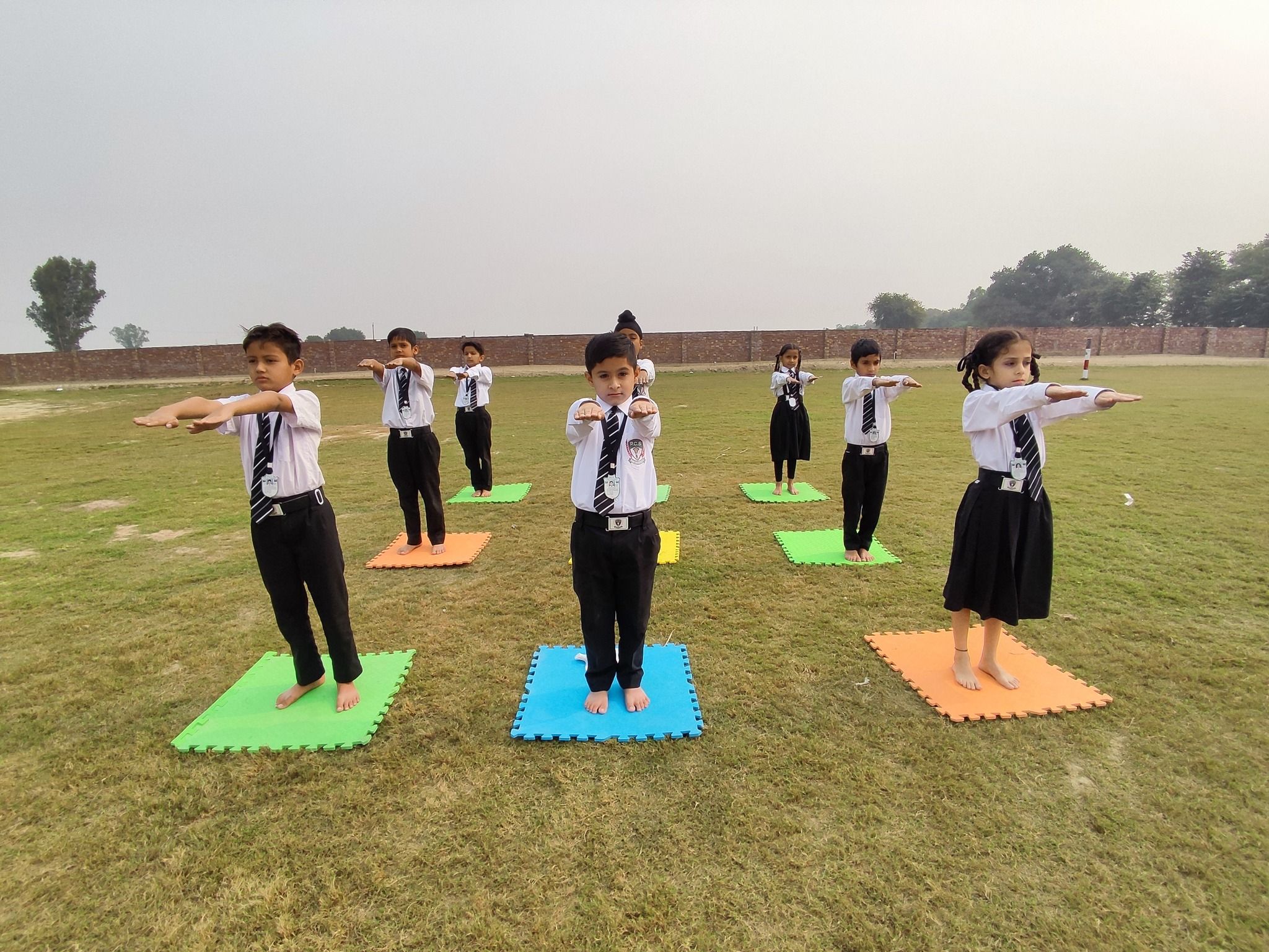 473241289 593937149898671 6396185814566407437 n